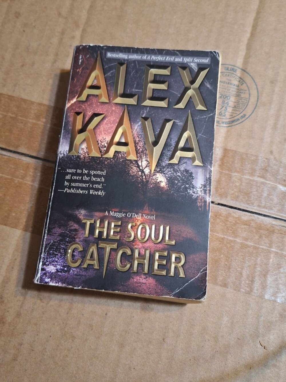 The Soul Catcher